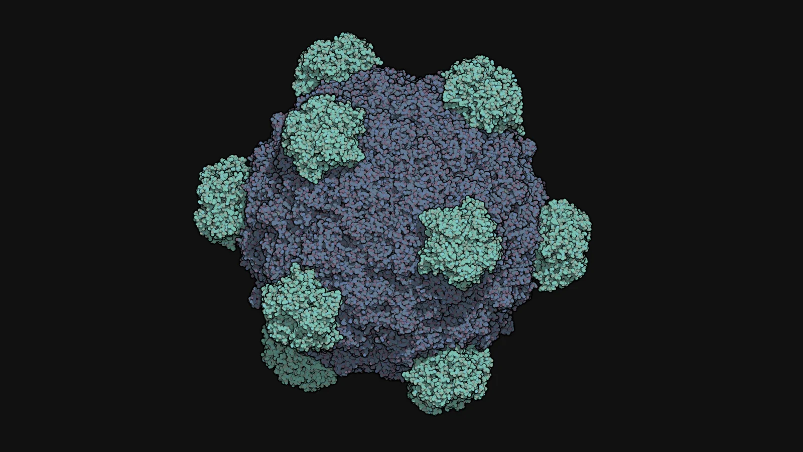 Colorful three-dimensional structural model of the bacteriophage Phi X 174 capsid.